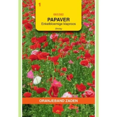 Afbeelding van Papaver klaproos enkelbloemig shirley