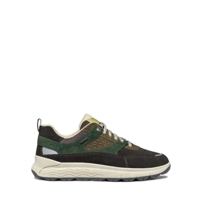 Afbeelding van Geox Sneakers laag, Heren, Maat: 42, dark coffee green Leer en textiel