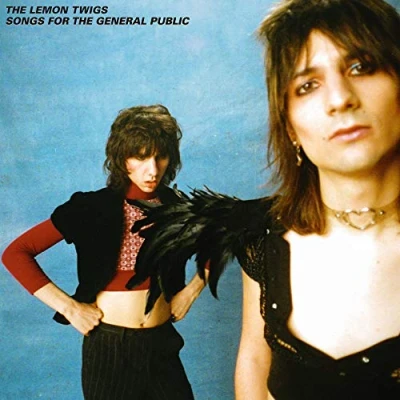 Afbeelding van Lemon Twigs Songs For the General Public (LP)