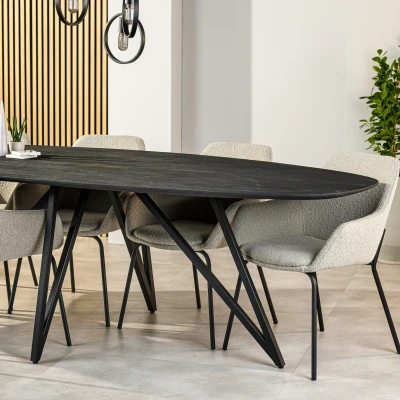 Afbeelding van Dotan eettafel ovaal 240x110 cm zwart