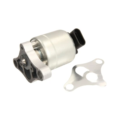 Afbeelding van EGR klep MAGNETI MARELLI 571822112025