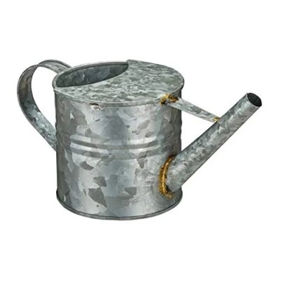 Afbeelding van Relaxdays gietertje klein kamerplanten gieter vintage plantengieter metaal 1.3 L zink