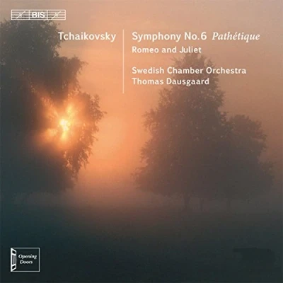 Afbeelding van Pyotr Symphony No. 6 In B Minor (Super Audio CD)
