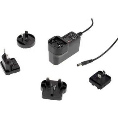 Afbeelding van Mean Well GEM12I24 P1J Stekkernetvoeding, vaste spanning 24 V/DC 0.5 A 12 W