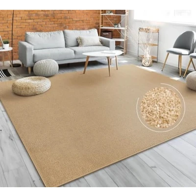 Afbeelding van Paco Home Vloerkleed Woonkamer Effen Eenvoudig En Modern Laagpolig, Versch. Afmetingen Kleuren 280x380 cm