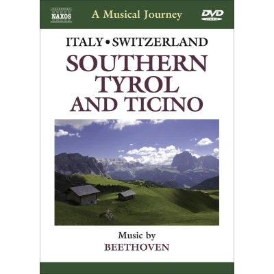 Afbeelding van Various Artists A Musical Journey: Italy / Switzerland (DVD)