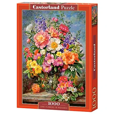 Image de Puzzle Castorland Fleurs de juin en éclat, 1000 pièces