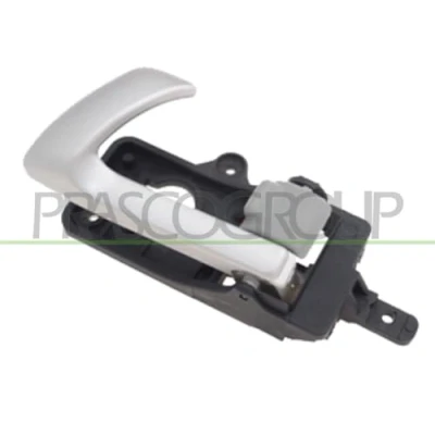 Afbeelding van PRASCO HN8168658 Deurgrepen Binnen, Links achter, voor grijs, zilver HYUNDAI: Santa Fe II (CM) 2.2 CRDi, CRDi 4x4, 2.7 V6 GLS