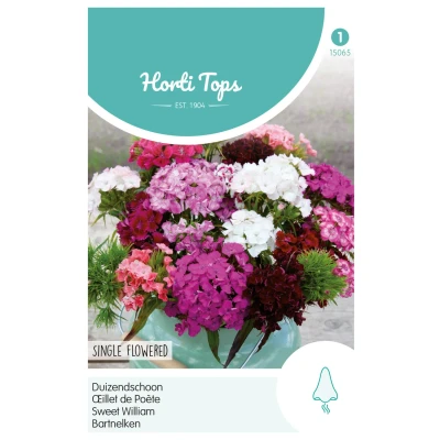 Afbeelding van Dianthus barbatus Enkelbl. Gemengd Buzzy