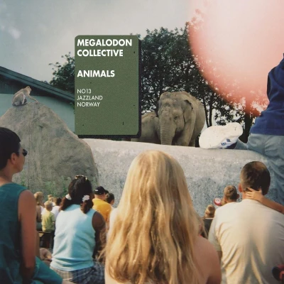 Afbeelding van Megalodon Collective Animals (CD)