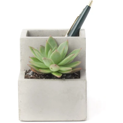 Afbeelding van Kikkerland Pennenhouder en bloempot in 1 Thuiswerken Thuiswerkplek Bureauaccessoires Klein Massief beton Bureau plantenpot met pennenbakje