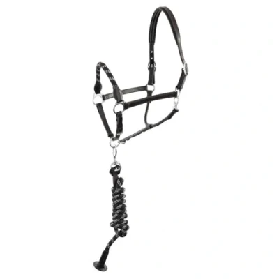 Afbeelding van BR Halster Set Dundee Full Zwart Zilver
