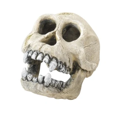 Afbeelding van Aqua Della Decor Chimpanzee Aquarium Ornament 16 cm