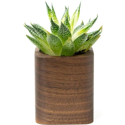 Afbeelding van Oakywood Square Planter Walnut Wood
