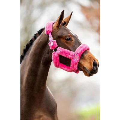 Afbeelding van HB Halster Allround Teddy