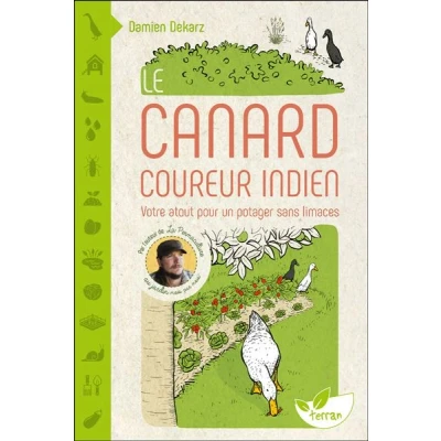 Image de Le Canard coureur indien Votre atout pour un potager sans limaces