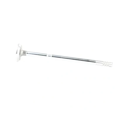 Afbeelding van Mahle Original Uitlaatklep 081 VA 31261 000
