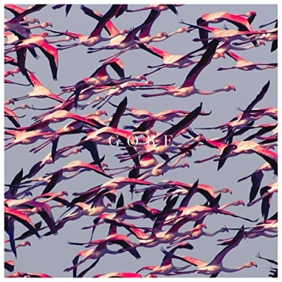 Afbeelding van Deftones Gore