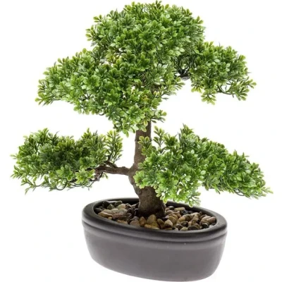 Afbeelding van Bonsai 4 Driesprong Collection