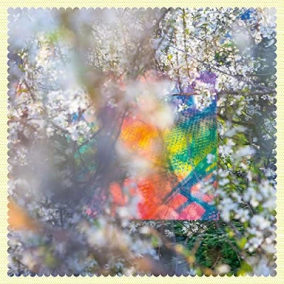 Afbeelding van Four Tet Sixteens Oceans (CD)