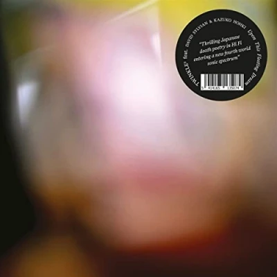 Afbeelding van Twinkle3 Upon This Fleeting Dream (LP)