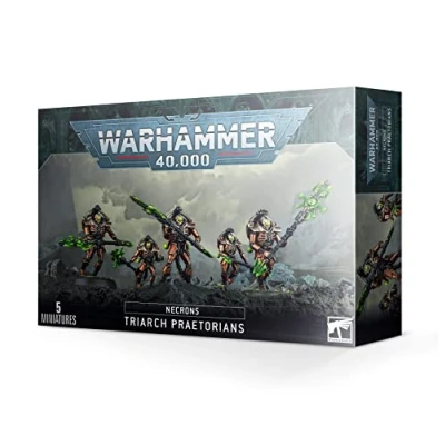 Afbeelding van Necrons Triarch Praetorians