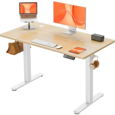 Afbeelding van ErGear In hoogte verstelbaar elektrisch stabureau met 4 intelligente geheugenpanelen, 120 x 60 cm, thuiskantoor splitsingspaneel