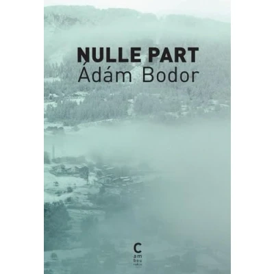 Afbeelding van NULLE PART