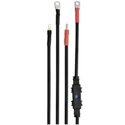 Afbeelding van IVT DSW Serie Kabelset 2.00 m 35 mm² 431005 Geschikt voor model (ondulator): 1200/12 V FR, 1200/24 2000/24 Voltcraft