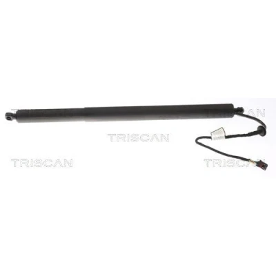 Afbeelding van Triscan Gasveer 8710 43301