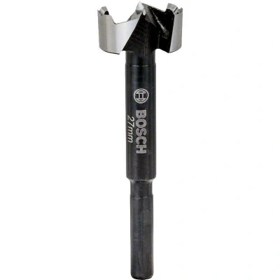 Afbeelding van Bosch Accessories 2608577011 Forstnerboor 27 mm 1 stuk(s)