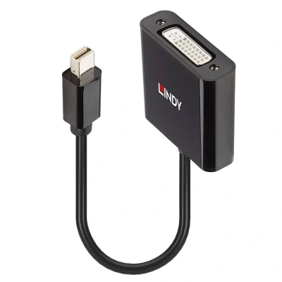 Afbeelding van LINDY Monitor Adapter [1x Mini DisplayPort stekker 1x DVI] 41736 0.16 m