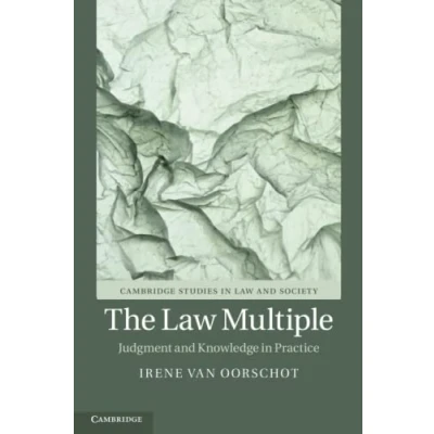 Afbeelding van Cambridge Studies in Law and Society The Multiple