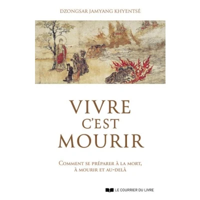 Image de Vivre c&#039;est mourir Comment se préparer à la mort, et au delà