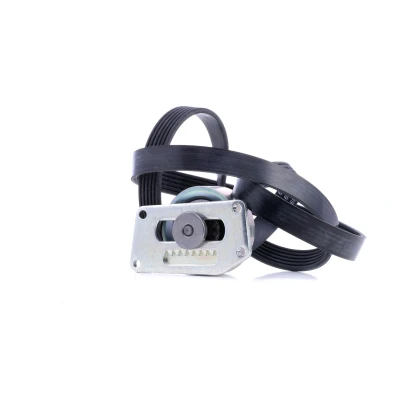 Afbeelding van Poly V riem set INA 529 0216 10