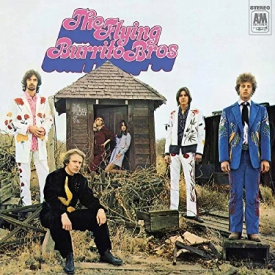 Afbeelding van The Flying Burrito Brothers Gilded Palace Of Sin (LP)