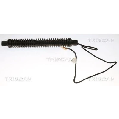 Afbeelding van Triscan Gasveer 8710 11310