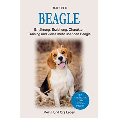Afbeelding van Beagle