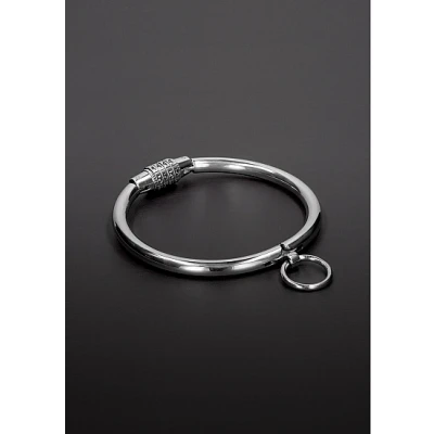Afbeelding van RVS Halsband met Combinatieslot Medium