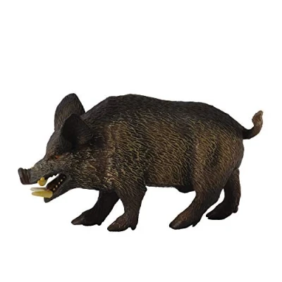 Afbeelding van COLLECTA Wild Zwijn (M)