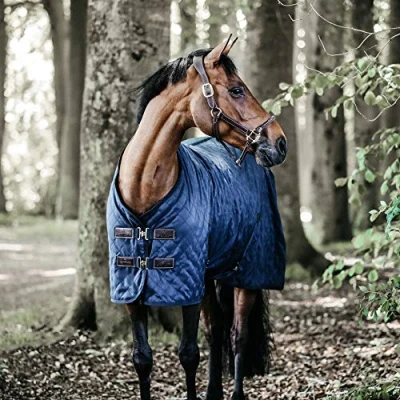 Afbeelding van Kentucky stalmat 0 g maat 6.6/198