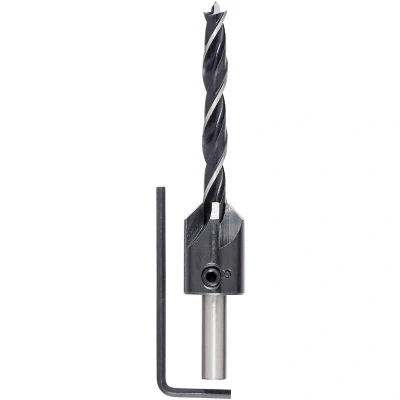 Afbeelding van Bosch Accessories 2609255220 Hout spiraalboor 7 mm Gezamenlijke lengte 105 Cilinderschacht 1 stuk(s)