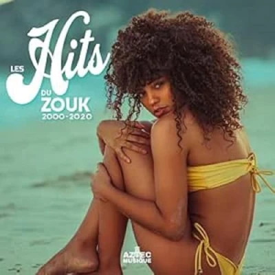 Afbeelding van Various Artists Les Hits Du Zouk 2000 2020 (2 CD)