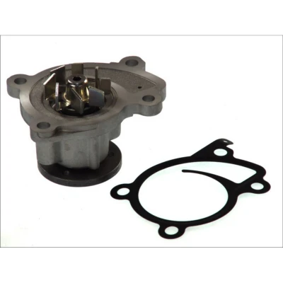 Afbeelding van AISIN WPN 099V Waterpomp RENAULT: GRAND SCENIC 3, Megane 4, Captur, DACIA: LOGAN MCV 2, Duster Off Road, Dokker Express, NISSAN: MICRA 3