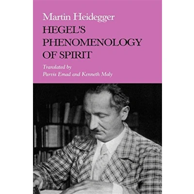 Afbeelding van Hegel&#039;s Phenomenology of Spirit