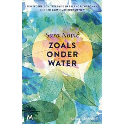Afbeelding van Zoals onder water