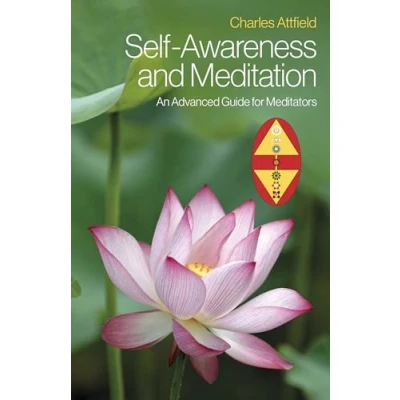 Afbeelding van Self Awareness and Meditation
