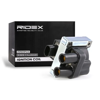 Afbeelding van RIDEX 689C0012 Bobine 2 12 FIAT: Punto II Hatchback, Panda Uno LANCIA: Ypsilon III, Y