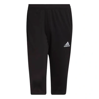 Afbeelding van adidas Entrada 22 3/4 broek (3/4) heren