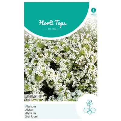 Afbeelding van Alyssum Lobularia Mar. Procumbens Sneeuwkleed Hortitops